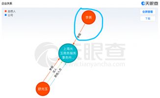 訴李成剛案步入司法程序 網絡技術服務合同糾紛仲裁未果后的法律路徑